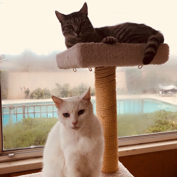 Meet your Posher, Julie - Picture 13 of 16